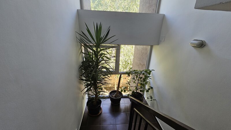 Ilfov duplex cu 4 camere si vedere la padure in Nordul Bucurestiului!
